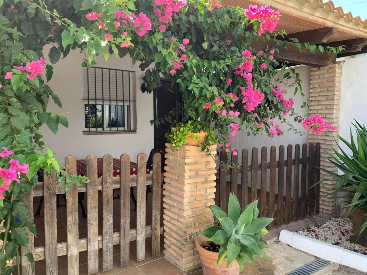 El Mayorazgo Apartamento *